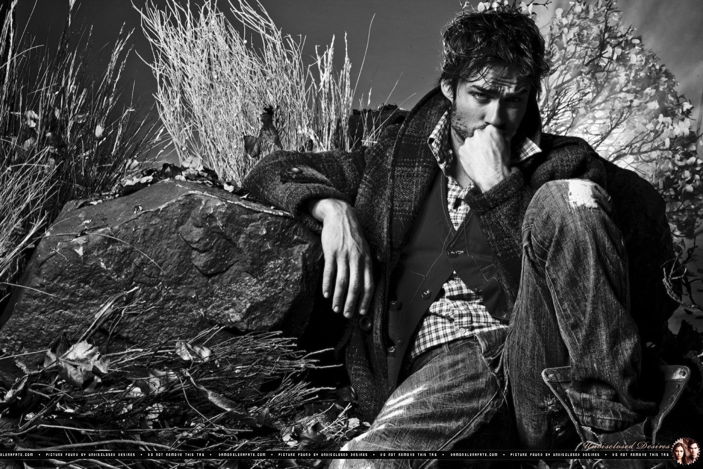 2010photoset07 - ��� �����������