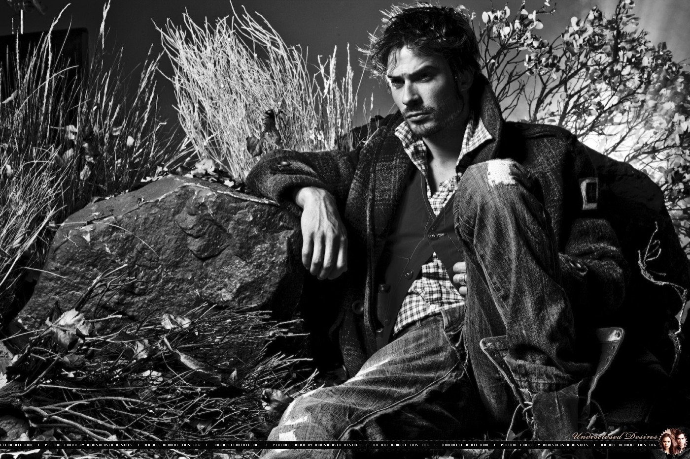 2010photoset08 - ��� �����������