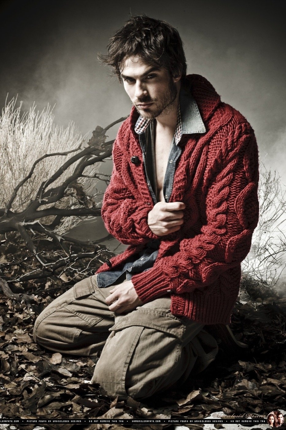 2010photoset11 - ��� �����������