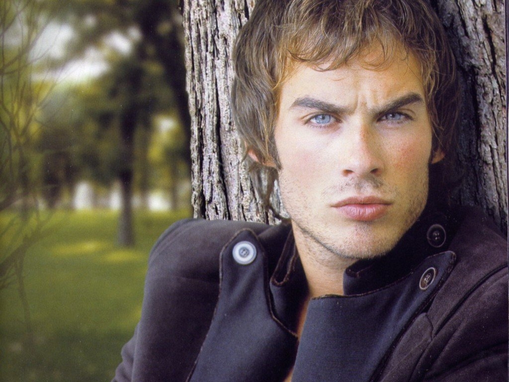 1024x768-169 - ��� �����������