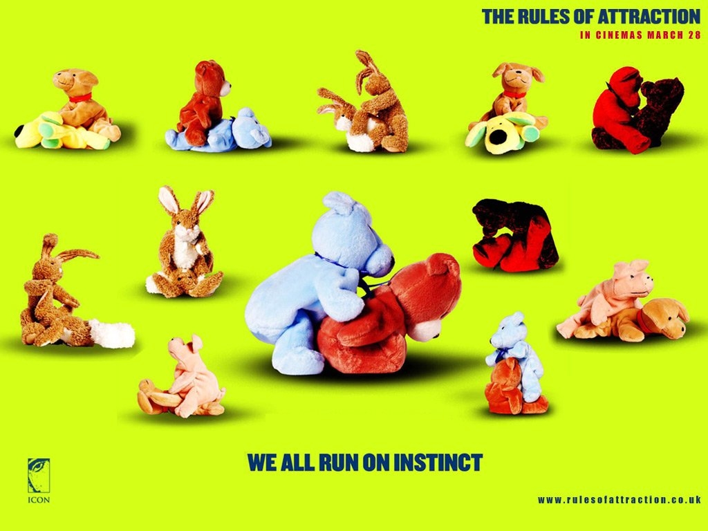 1024x768-175 - ��� �����������