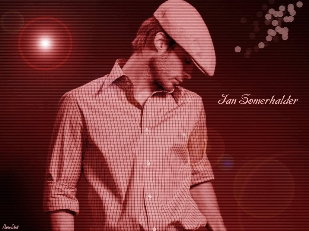 1024x768-206 - ��� �����������