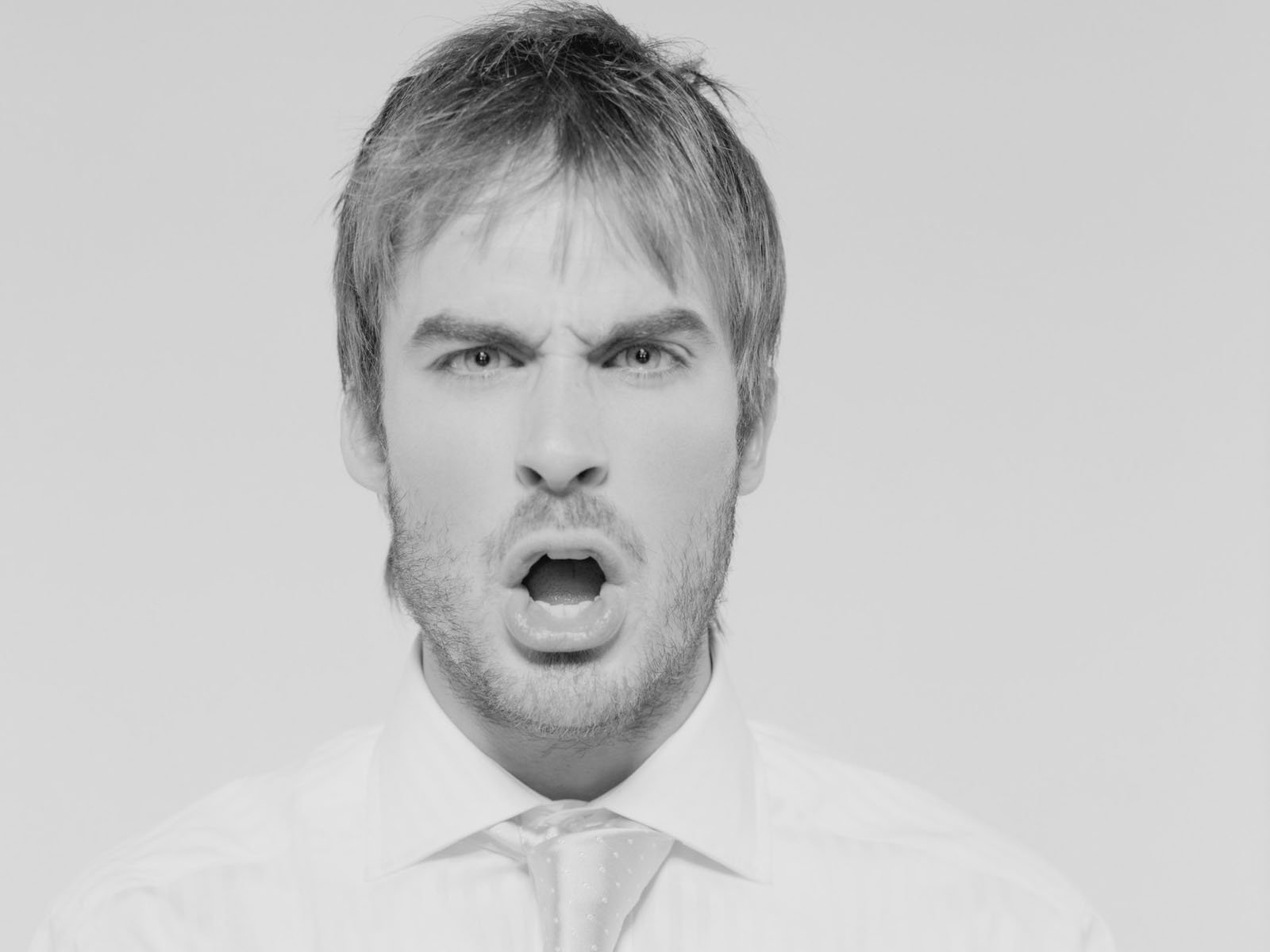 1600x1200-95 - ��� �����������